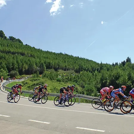 Vukovarska Iv Croatia *