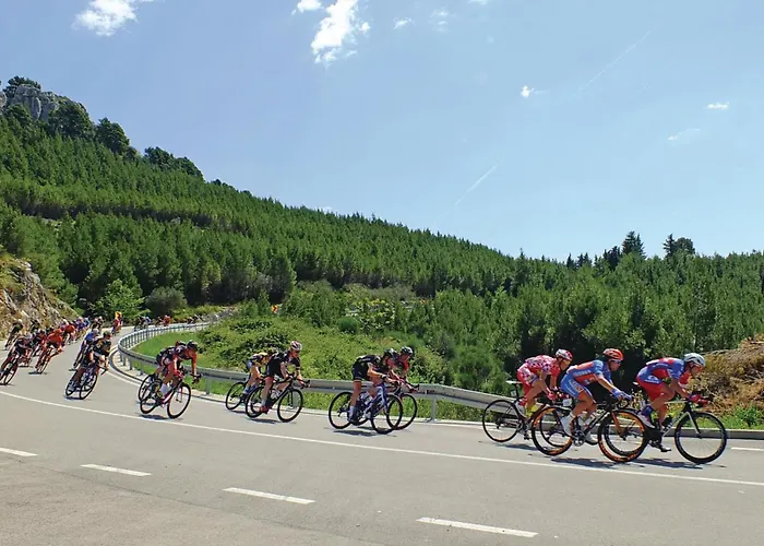 Vukovarska Iv Croatia *